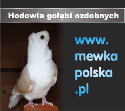 www.mewkapolska.pl